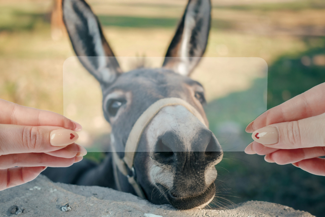 Ultracienka grubość, powłoka oleofobowa i wysoka przejrzystość