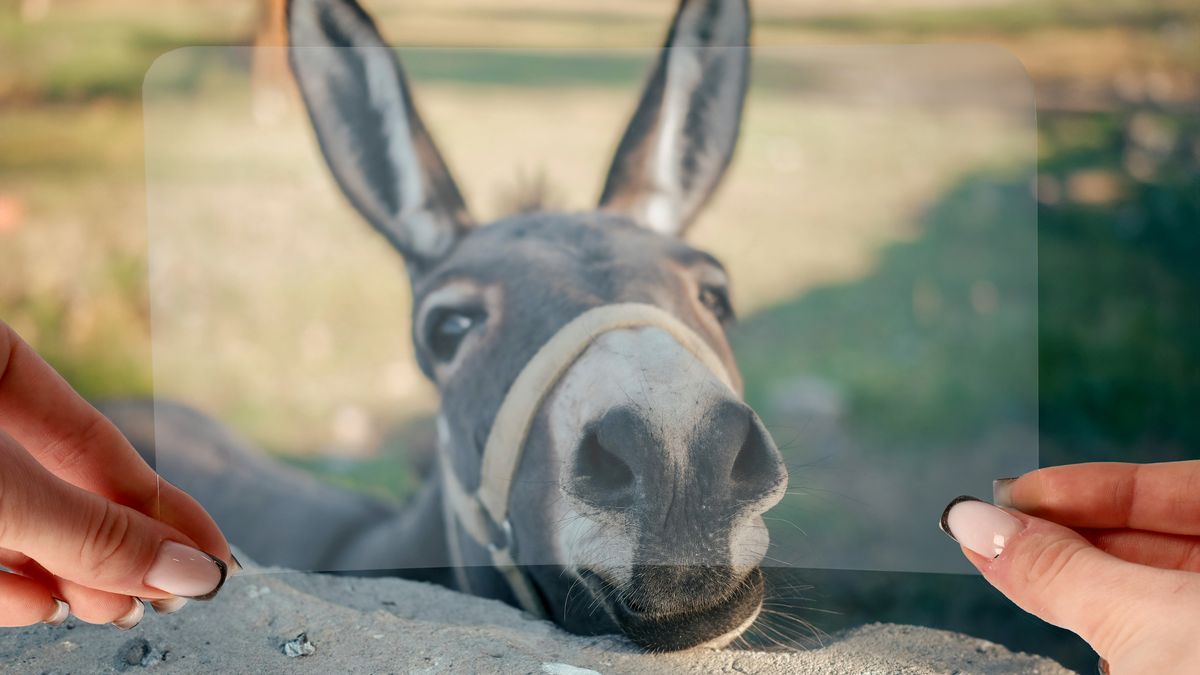 Ultracienka grubość, powłoka oleofobowa i wysoka przejrzystość