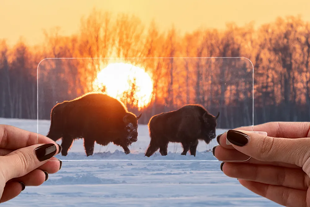 Przejrzystość szkła Bizon Smart Glass