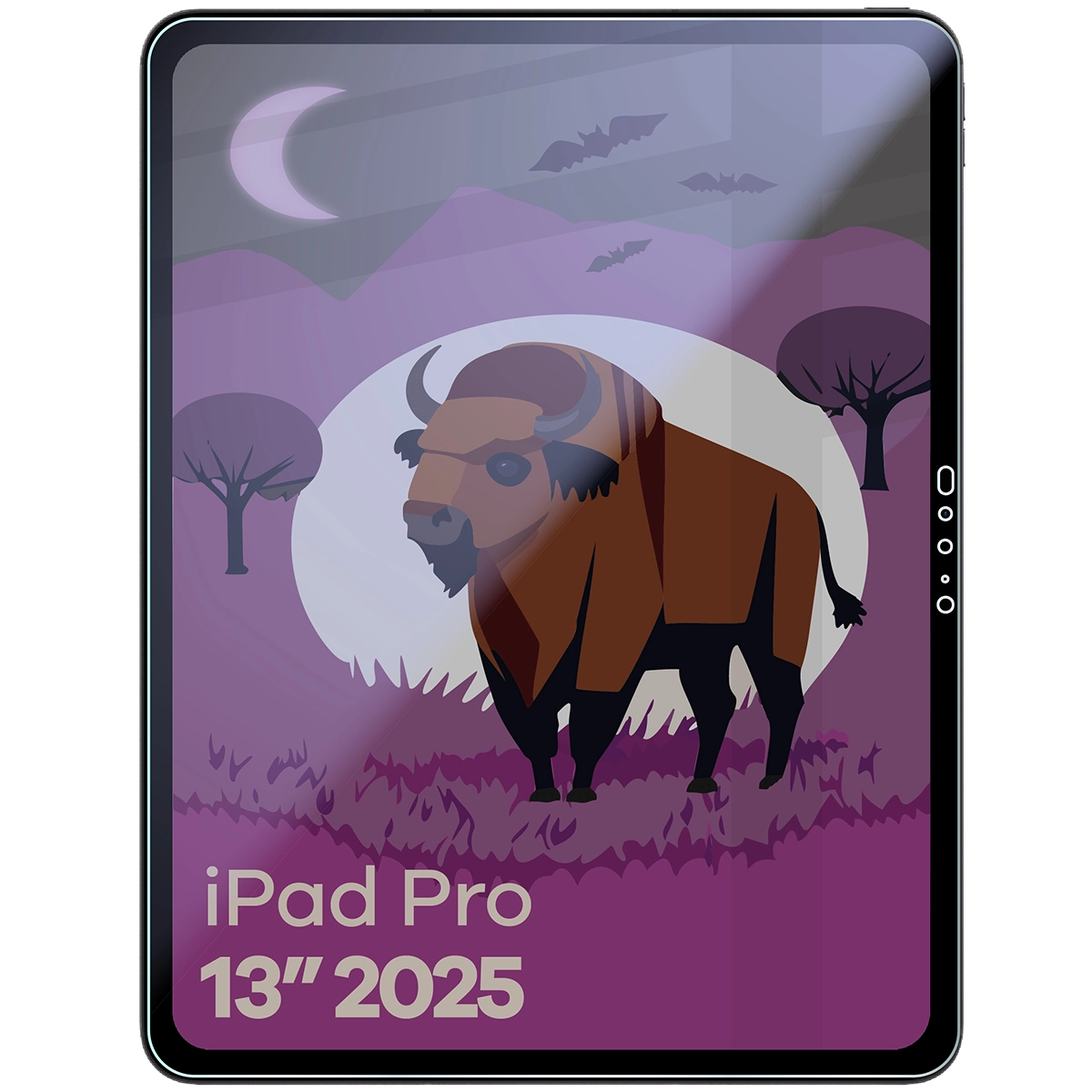 Idealne dopasowanie Bizon Smart Glass do Galaxy Tab S11