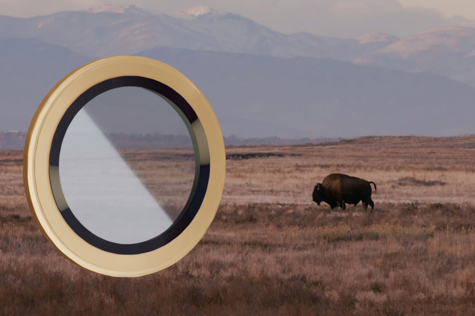 Klarheit des gehärteten Glases Bizon Snap Lens