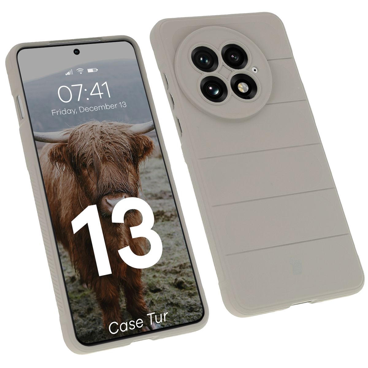 Robustes Etui Bizon Case Tur für OnePlus 13